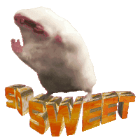 Funny Animals Funny Rodent Sticker