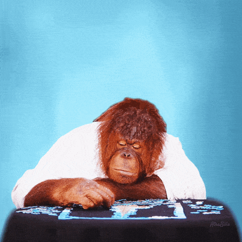 Funny Animals Joke GIF