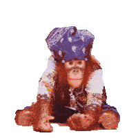 Funny Animals Joker Sticker