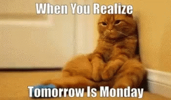 Funny Animals Lazy GIF. This 350 x 206 animated GIF is part of our lustige montags collection. Related themes include cat, funny animals, lazy. Created by…