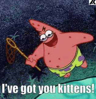 Funny Animals Patrick Star GIF. This 314 x 324 animated GIF is part of our hitze lustige bilder collection. Related themes include funny animals. Created by…