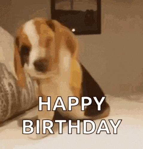 Funny GIF