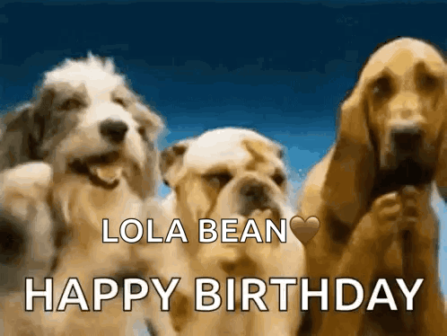 Funny Birthday Funny Happy Birthday GIF