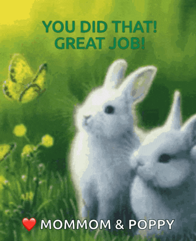 Funny Bunny Great Job Bunny GIF