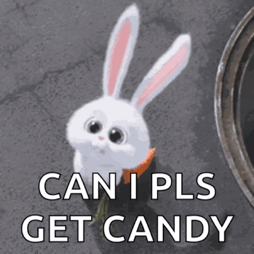 Funny Bunny Reminder Bunny GIF