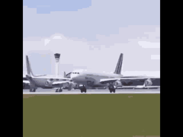 Funny GIF