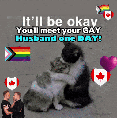 Funny Cat GIF. This 382 x 384 animated GIF is part of our its good to be the king collection. Related themes include funny cat. Created by iamuaremod. View…