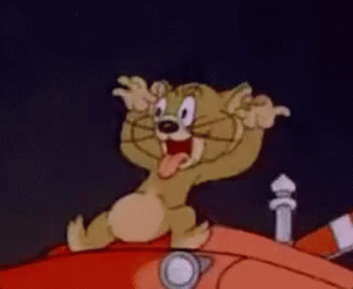 Funny Cat Tom And Jerry GIF