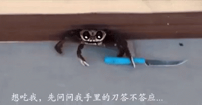 Funny Crab GIF