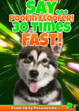 Funny Dog Puppy Greeting Gif Floof Funny Dog Pup Greeting Gif GIF