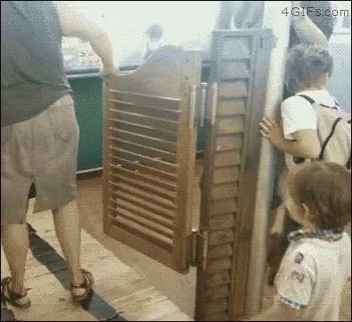 Funny Door GIF