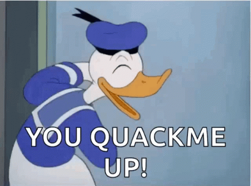 Funny Duck GIF