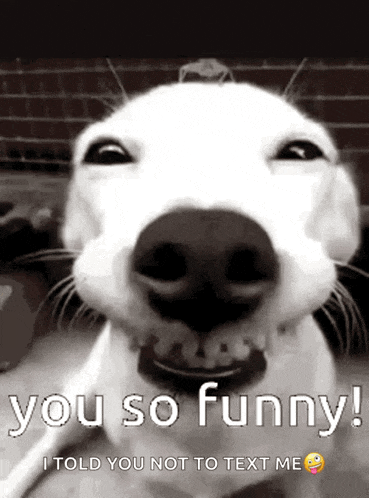 Funny Face GIF