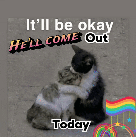 Funny Gifs Lol GIF