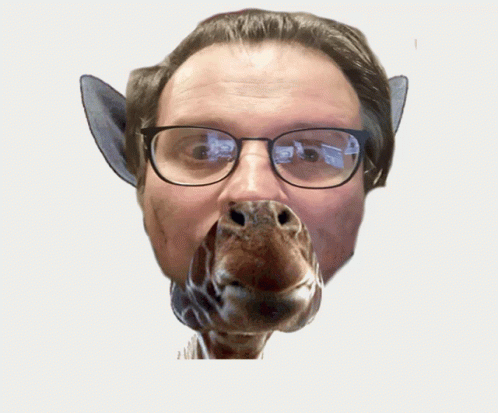 Funny Giraffe Giraffe Man GIF. This 498 x 413 animated GIF is part of our hitze lustige bilder collection. Related themes include funny animals. Created by…