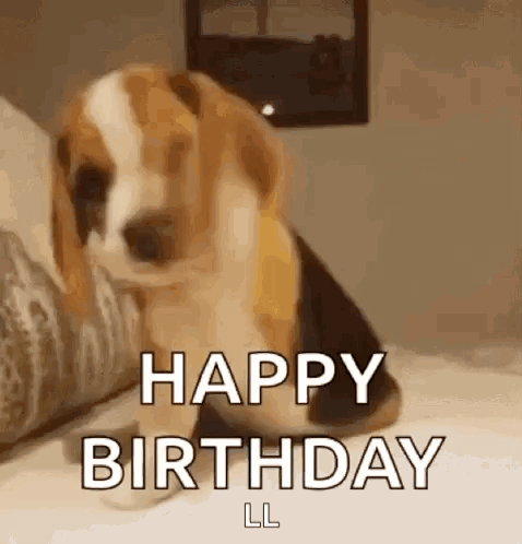 Funny GIF