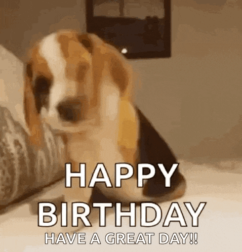 Funny GIF