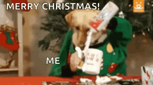 Funny Laughing GIF