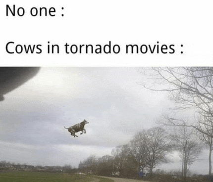 Funny Lol Meme