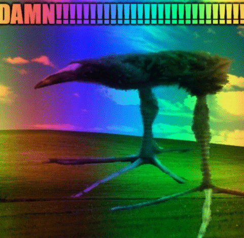 Funny Meme GIF