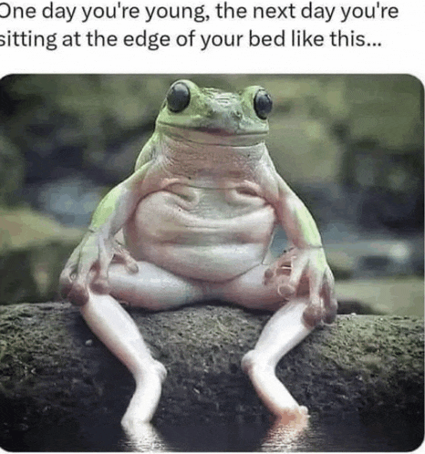 Funny Meme Meme
