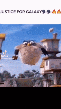 Funny Meme GIF