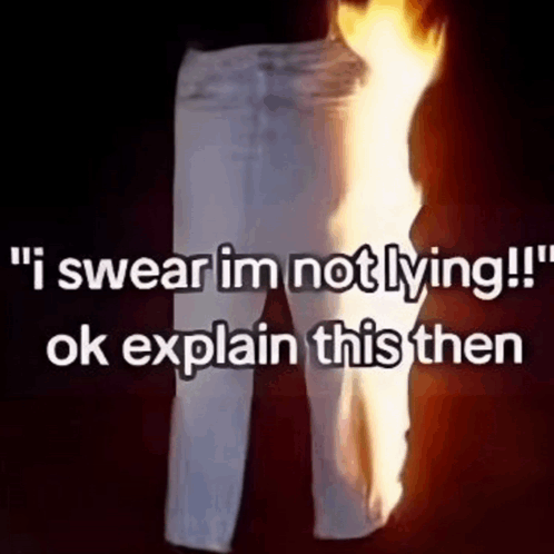Funny Meme GIF