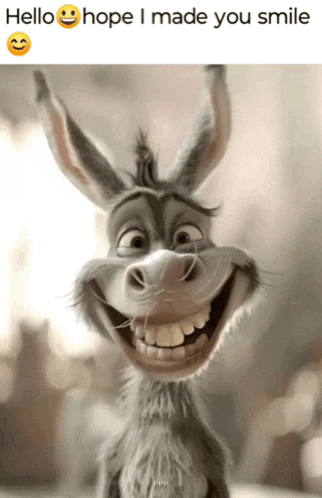 Funny Memes Happy Sunday Meme