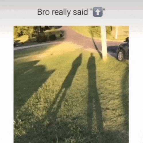 Funny Memes GIF