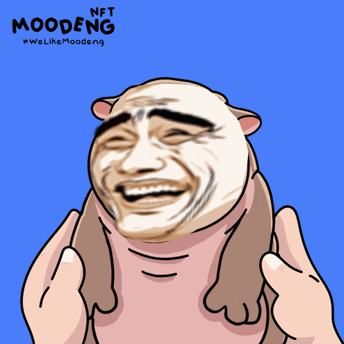 Funny Memes GIF