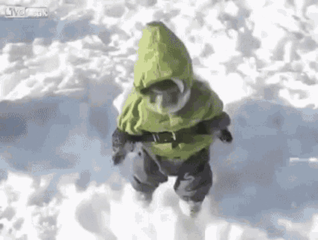 Funny Monkey Funee Monkee GIF