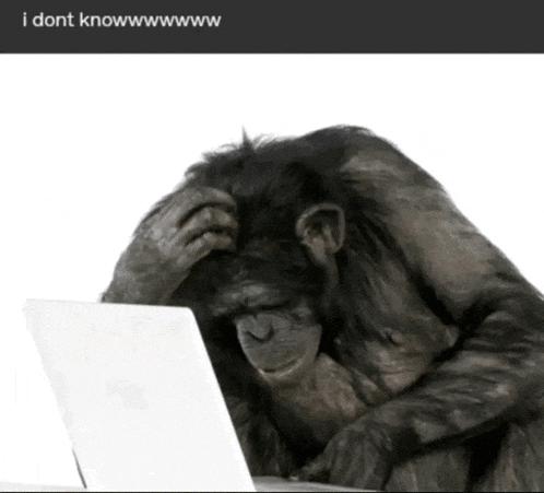 Funny Monkey Monkey I Dont Know Meme