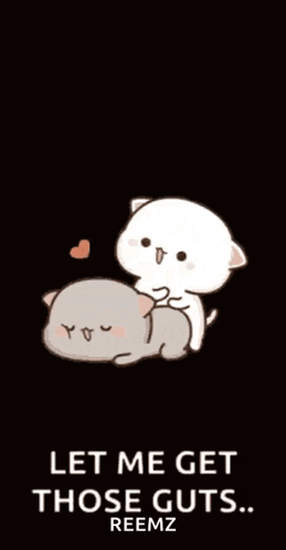 Funny GIF