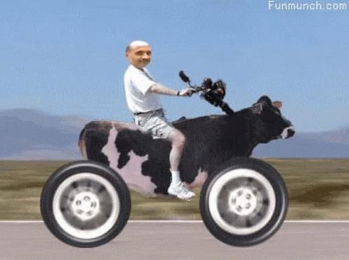 Funny Ride GIF. This 498 x 371 animated GIF is part of our moving backgrounds collection. Related themes include funny. Created by Nadeemdmc. View the…