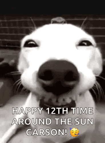 Funny Smile GIF
