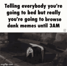 Funny True GIF