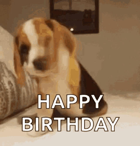 Funny GIF. This 477 x 498 animated GIF is part of our happy birthday puppy collection. Related themes include funny. Created by cgsm. View the original…