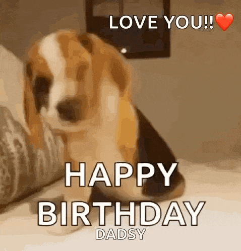Funny GIF