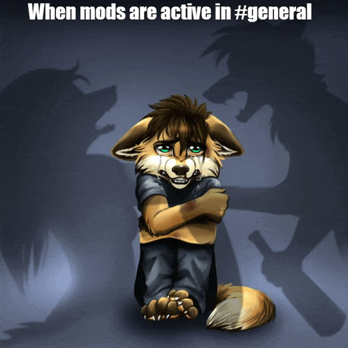 Furry Fighting Meme