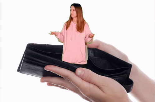 Fuslie Empty Wallet GIF