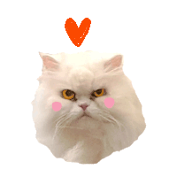 Gabi Toma Gabitoma Sticker