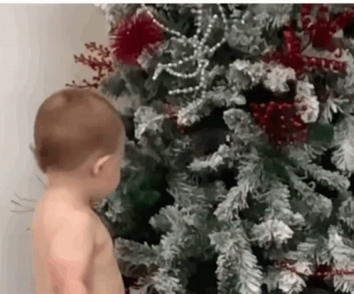 Gabrielgomescunha GIF