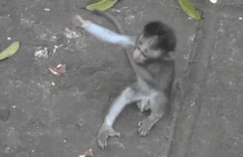 Gag Funny GIF. This 498 x 322 animated GIF is part of our hug meme collection. Related themes include funny. Created by EricLee3. View the original…