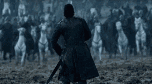 Game Of Thrones Go T GIF