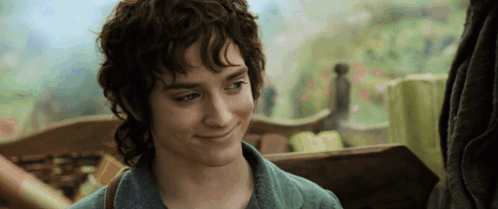 Gandalf Frodo GIF