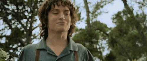 Gandalf Frodo GIF