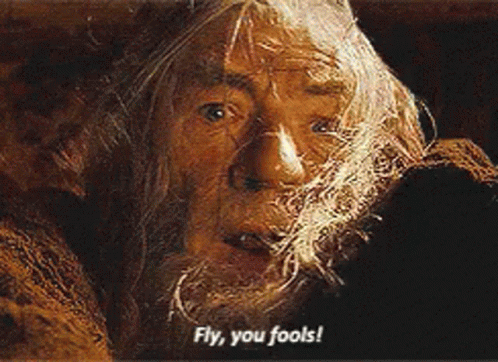 Gandalf Lord Of The Rings GIF. This 498 x 362 animated GIF is part of our fuyez pauvres fous collection. Related themes include fall, fly, im out. Created…