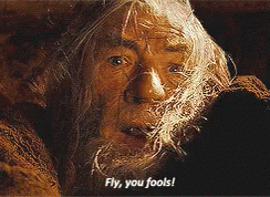 Gandalf Lotr GIF. This 244 x 178 animated GIF is part of our fuyez pauvres fous collection. Related themes include fly. View the original animation, share…