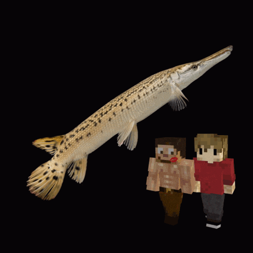 Gar Garers GIF