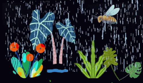 Garden Eco GIF
